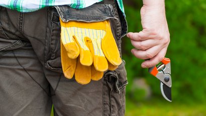 Landschaftspflege Ein Mann hält eine Gartenschere in der Hand