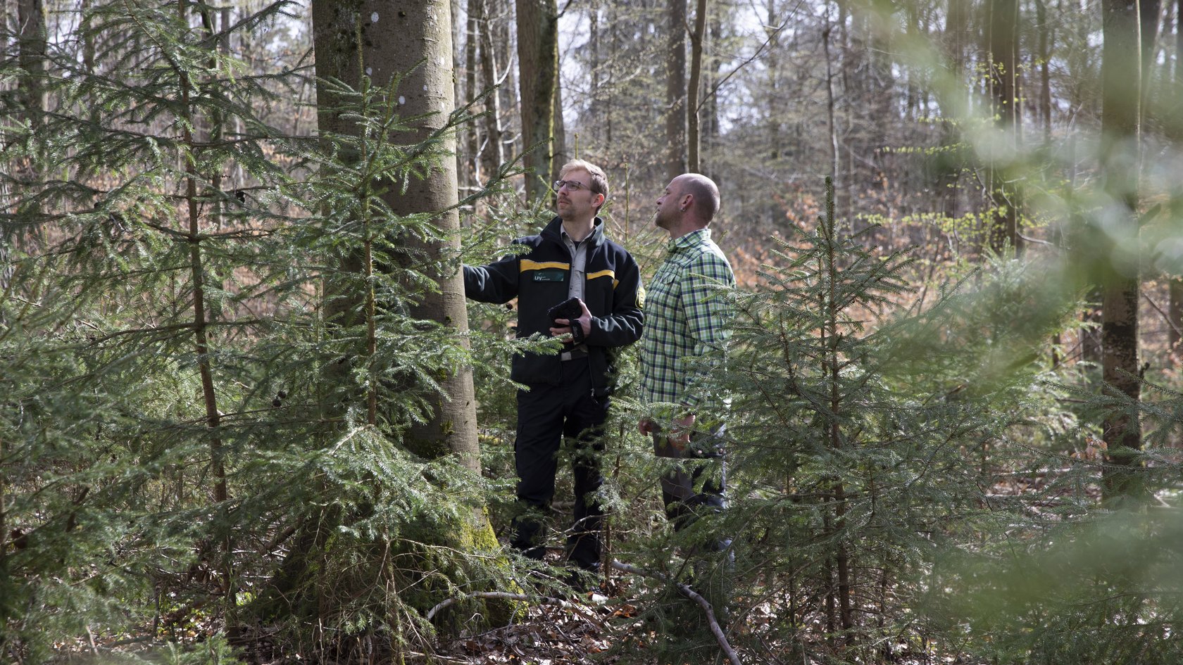 Zwei Männer stehen im Wald an einem Baum