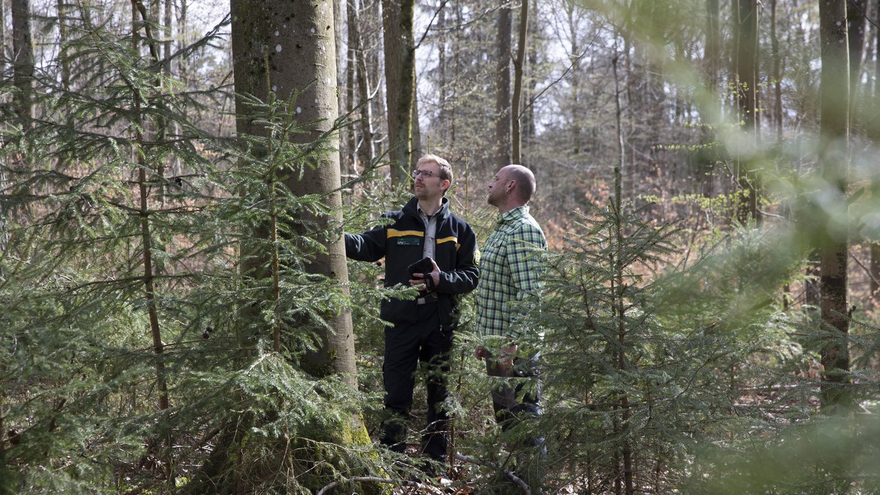 Zwei Männer stehen im Wald an einem Baum