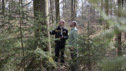 Zwei Männer stehen im Wald an einem Baum