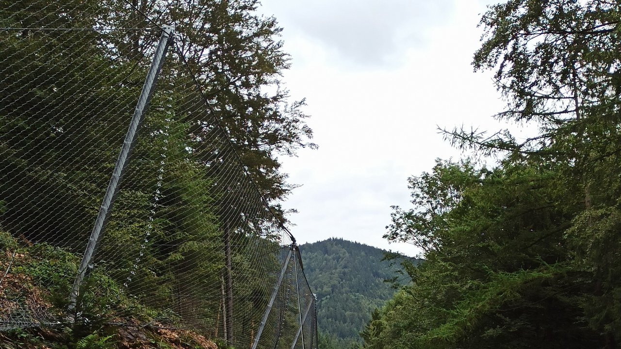 Entlang der Kandelstraße wurden auf einer Länge von insgesamt 1200 Metern Steinschlagzäune errichtet. 