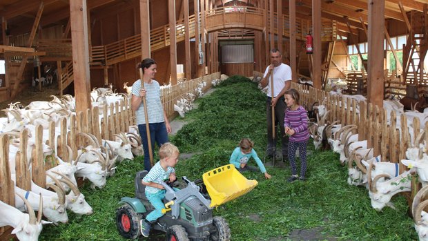 Familie Schoening gewinnt den ersten Hauptpreis Die gesamte Familie Schöning im Stall