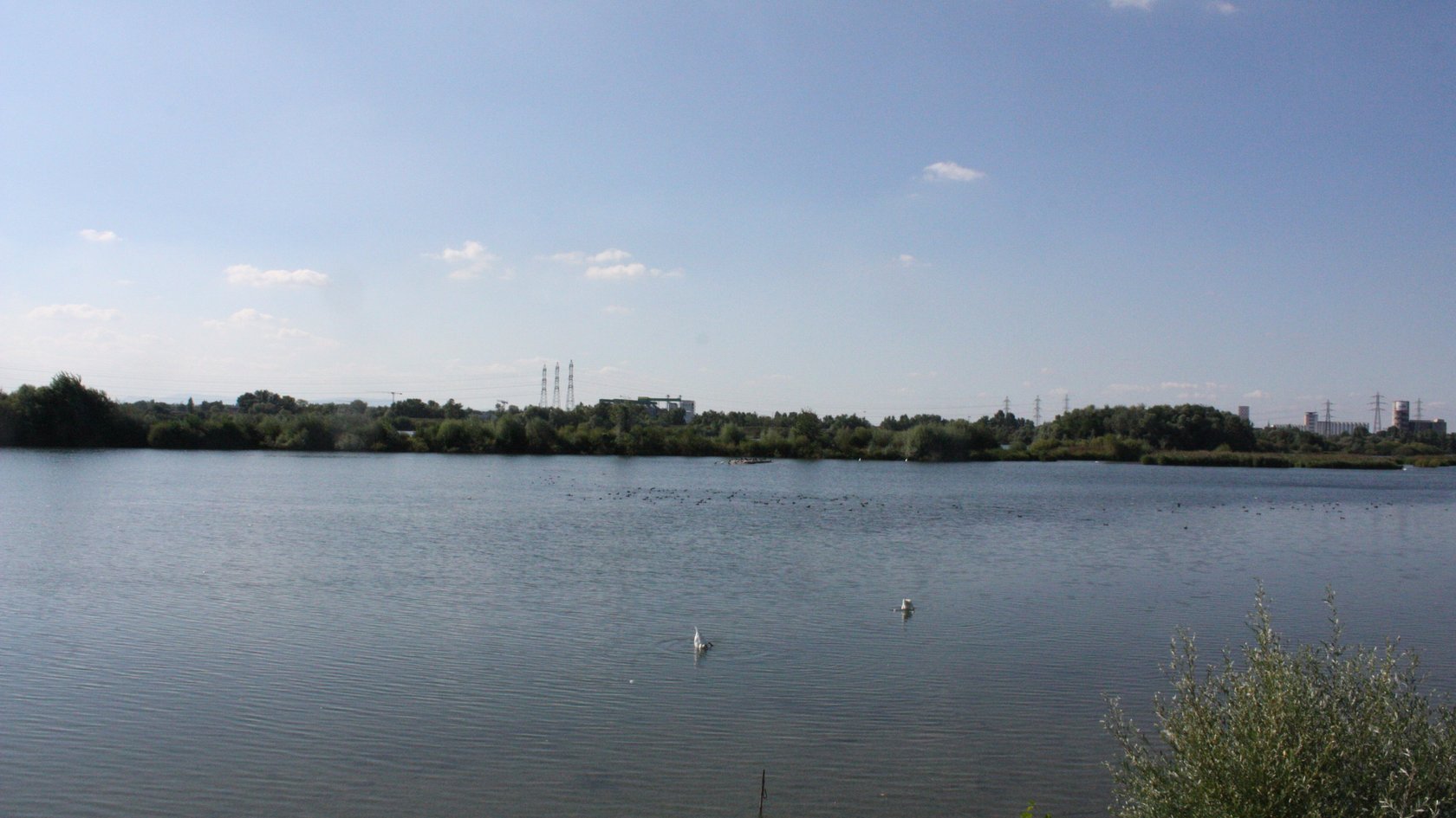 Flachwasserbereich Kulturwehr Kehl