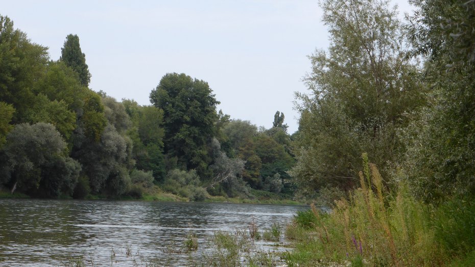 Markgräfler Rheinebene von Neuenburg bis Breisach