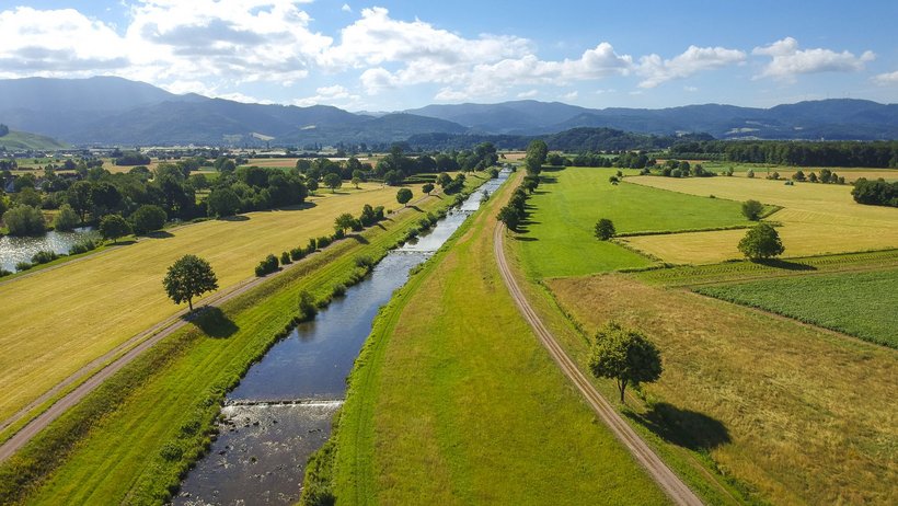 Elz bei Emmendingen Wasser