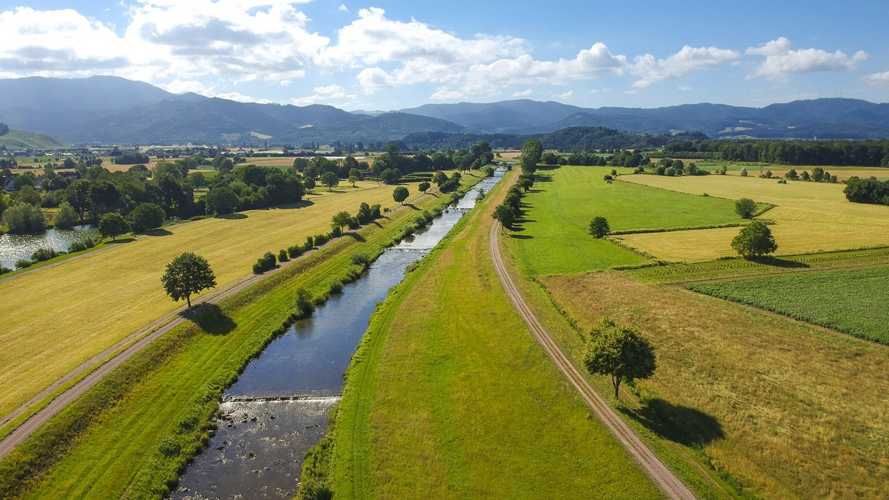 Abteilung 5 - Umwelt Elz bei Emmendingen Wasser