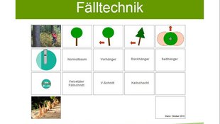 Deckblatt-Merkblatt-Holzernte Deckblatt-Merkblatt-Holzernte