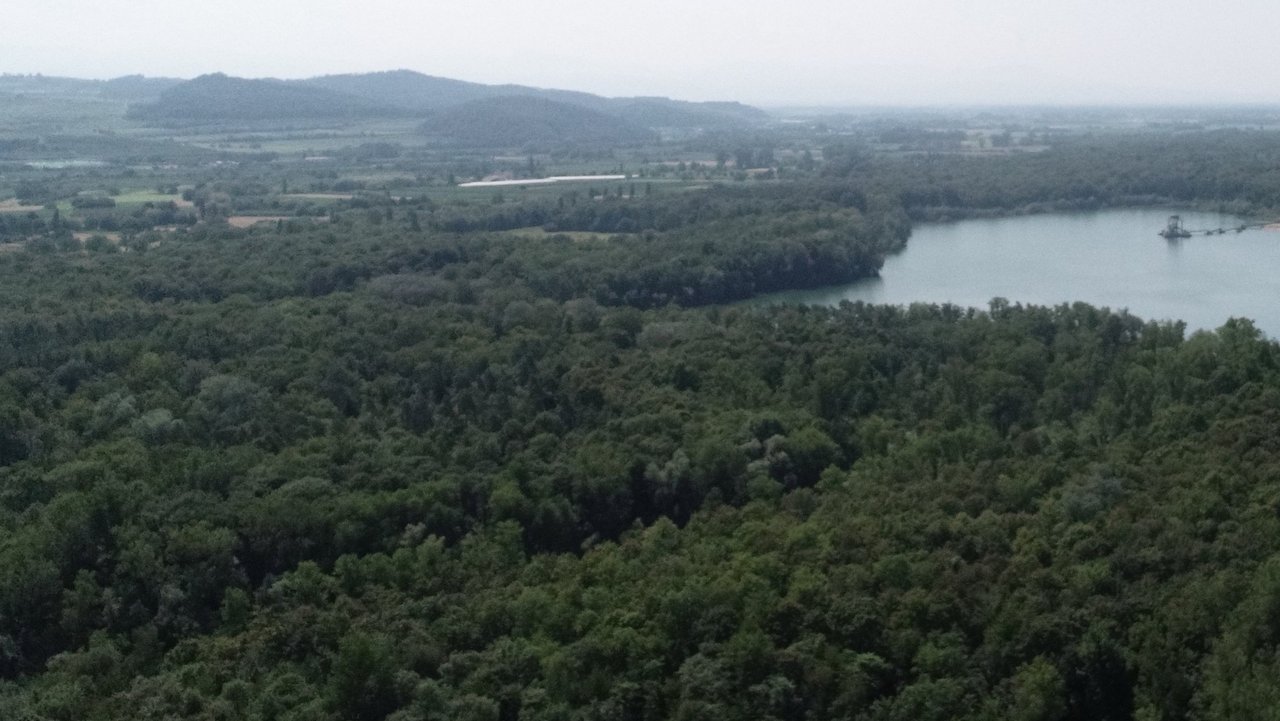 Rückhalteraum Breisach / Burkheim fotografiert aus der Luft
