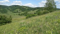 Die Landschaft am Kaiserstuhl