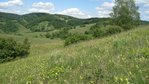 Die Landschaft am Kaiserstuhl Die Landschaft am Kaiserstuhl