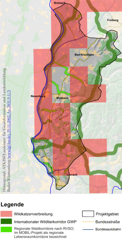 Karte Wildkatzenverbreitung im Projektgebiet