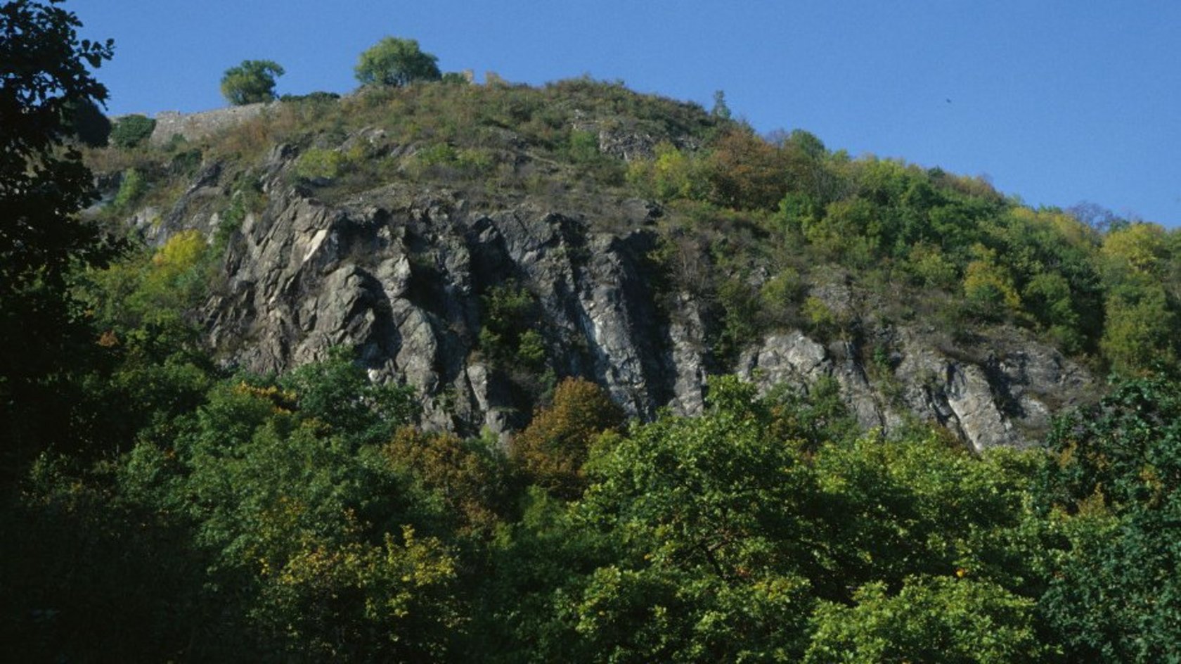 Kalkfelsen am Hohentwiel