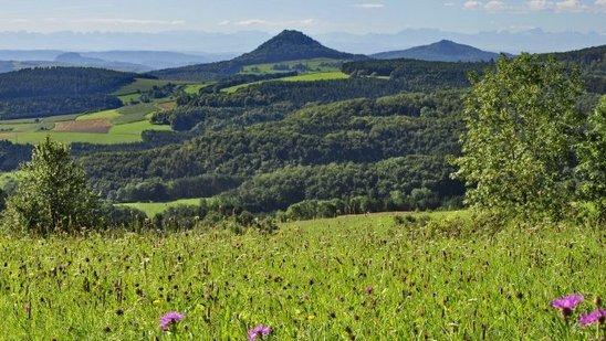 Landschaft Hegaualb