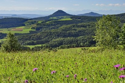 Landschaft Hegaualb