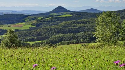 Landschaft Hegaualb
