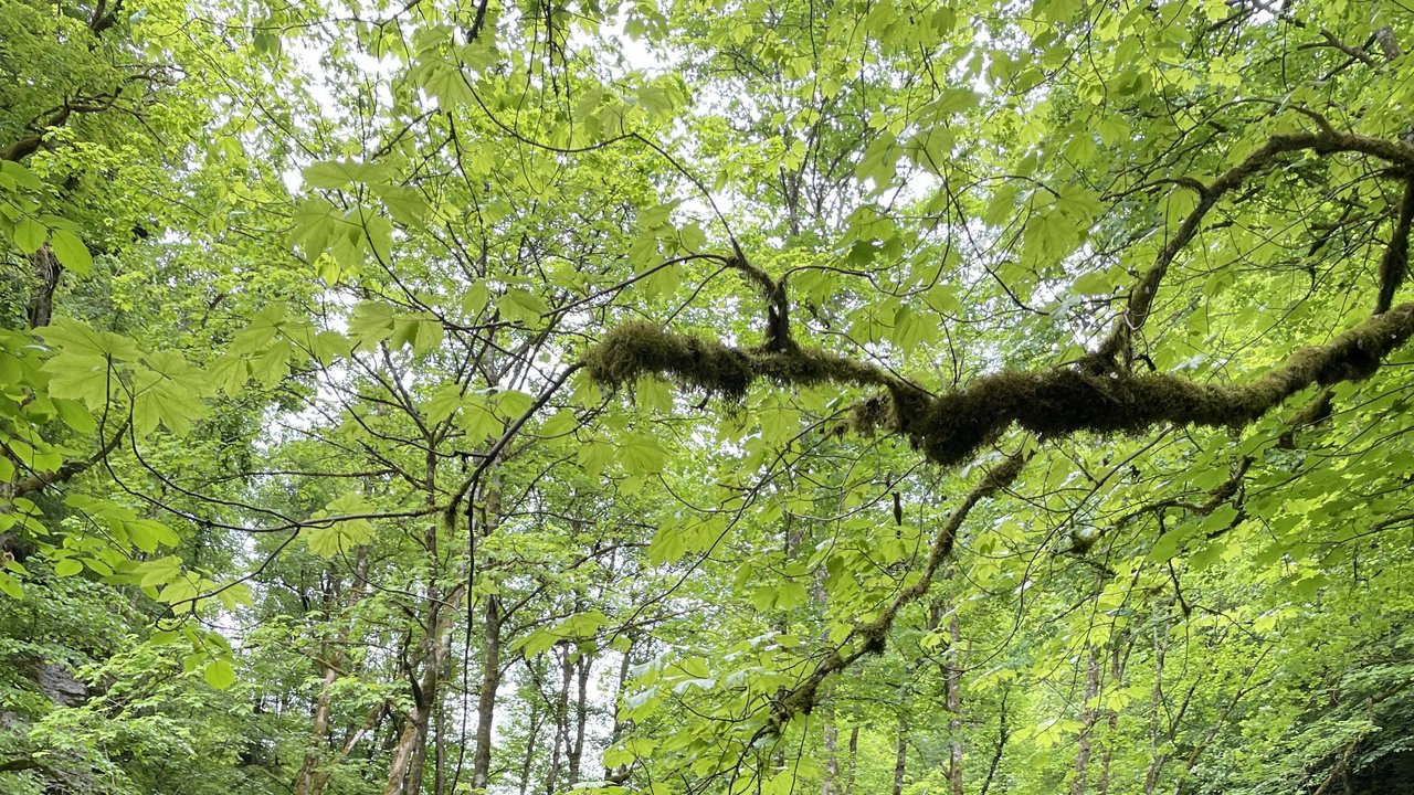 Wandergruppe vor Brücke über die Wutach
