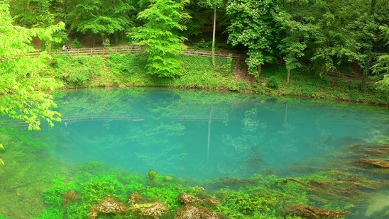 Das Bild zeigt einen Blautopf