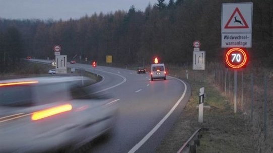 Im Dunkeln leuchtende Wildwechselwarnanlage 