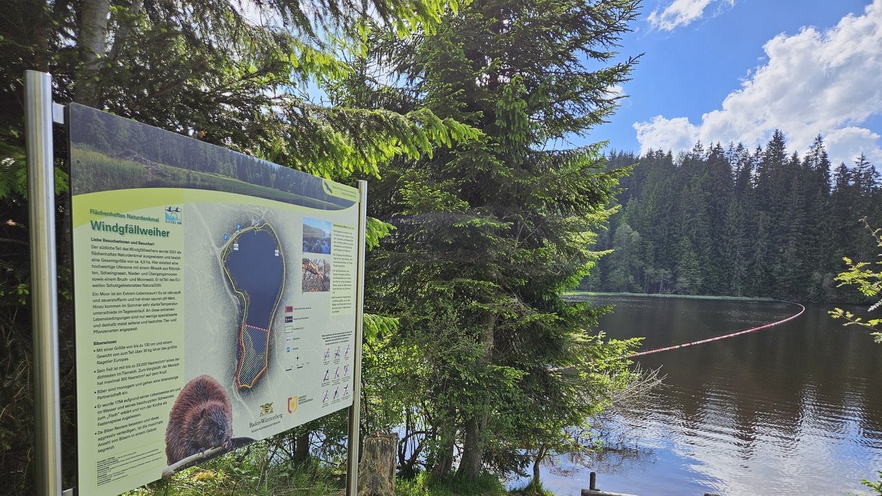 Neue Schilder am Windgfällweiher