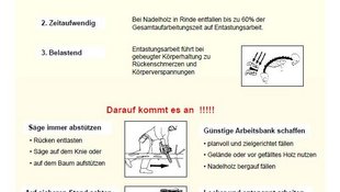 Deckblatt-Merkblatt-Entastung