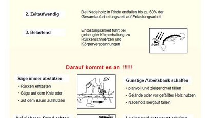 Deckblatt-Merkblatt-Entastung