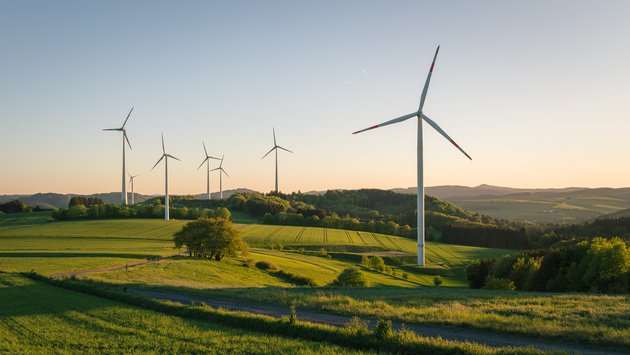 Windräder auf einem Feld