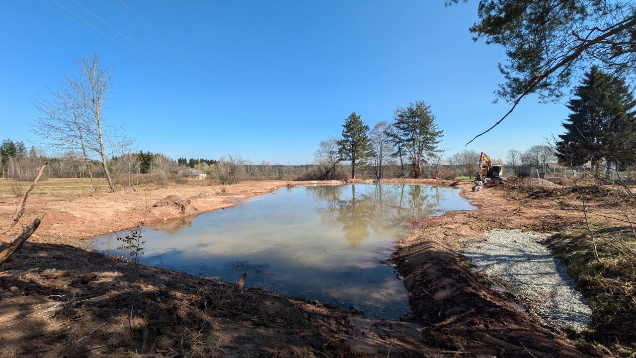 Winterweiher im Naturschutzgebiet