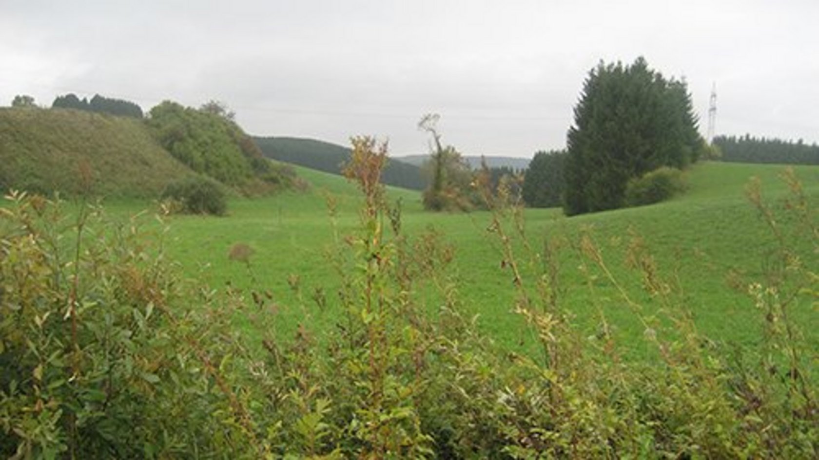 Landschaft in Prim-Albvorland