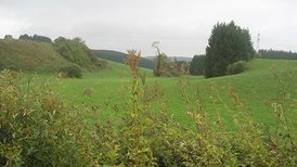 Landschaft in Prim-Albvorland