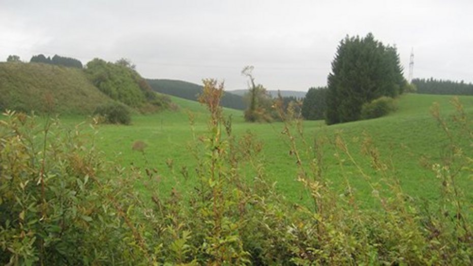 Landschaft in Prim-Albvorland Landschaft in Prim-Albvorland