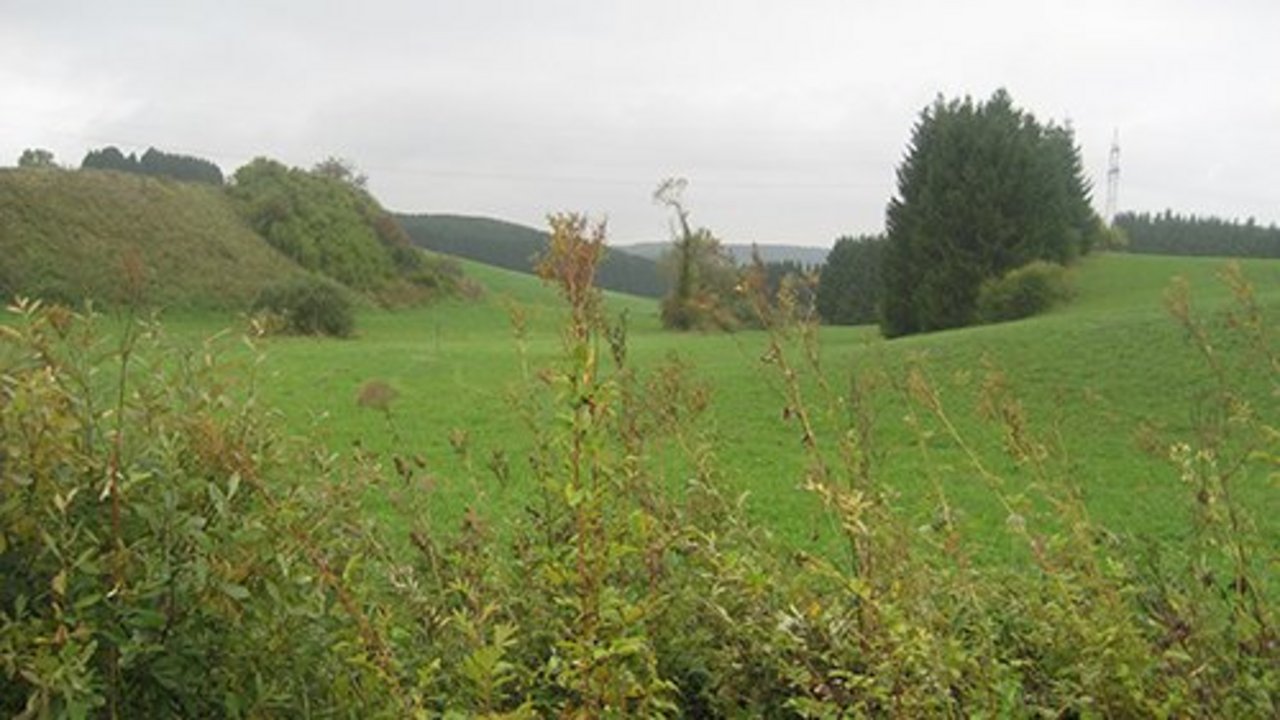 Landschaft in Prim-Albvorland Landschaft in Prim-Albvorland