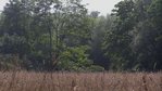 Wälder bei Wyhlen