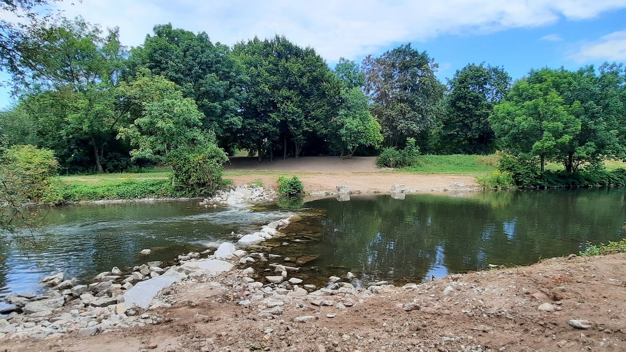 Titelbild Fluss Wiese