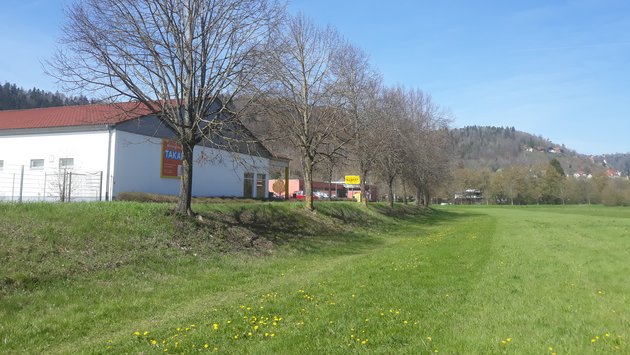 Wiese mit Dammerhöhung und dahinter ein Gebäude