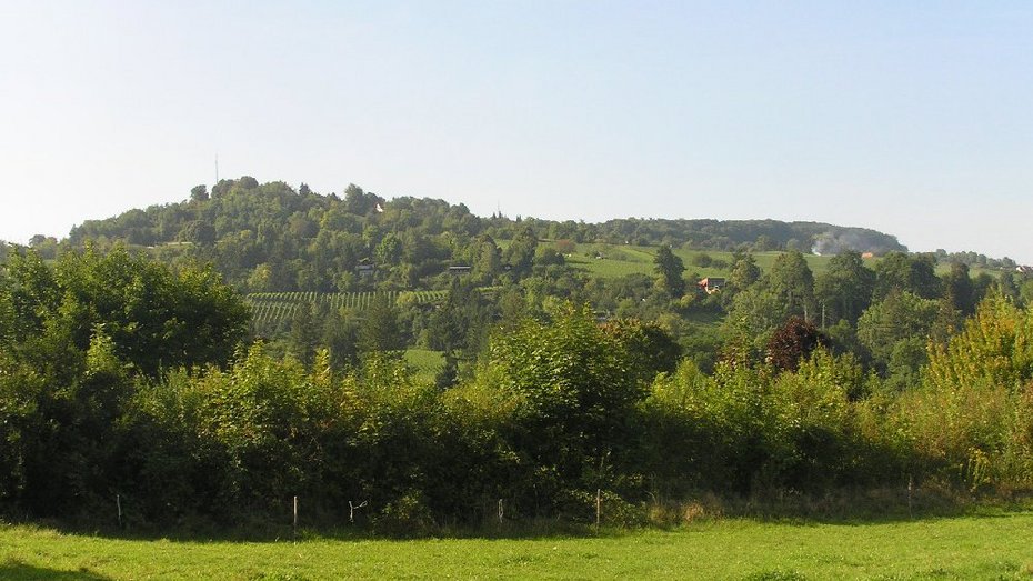 Tüllinger Berg Tüllinger Berg Mattfeld