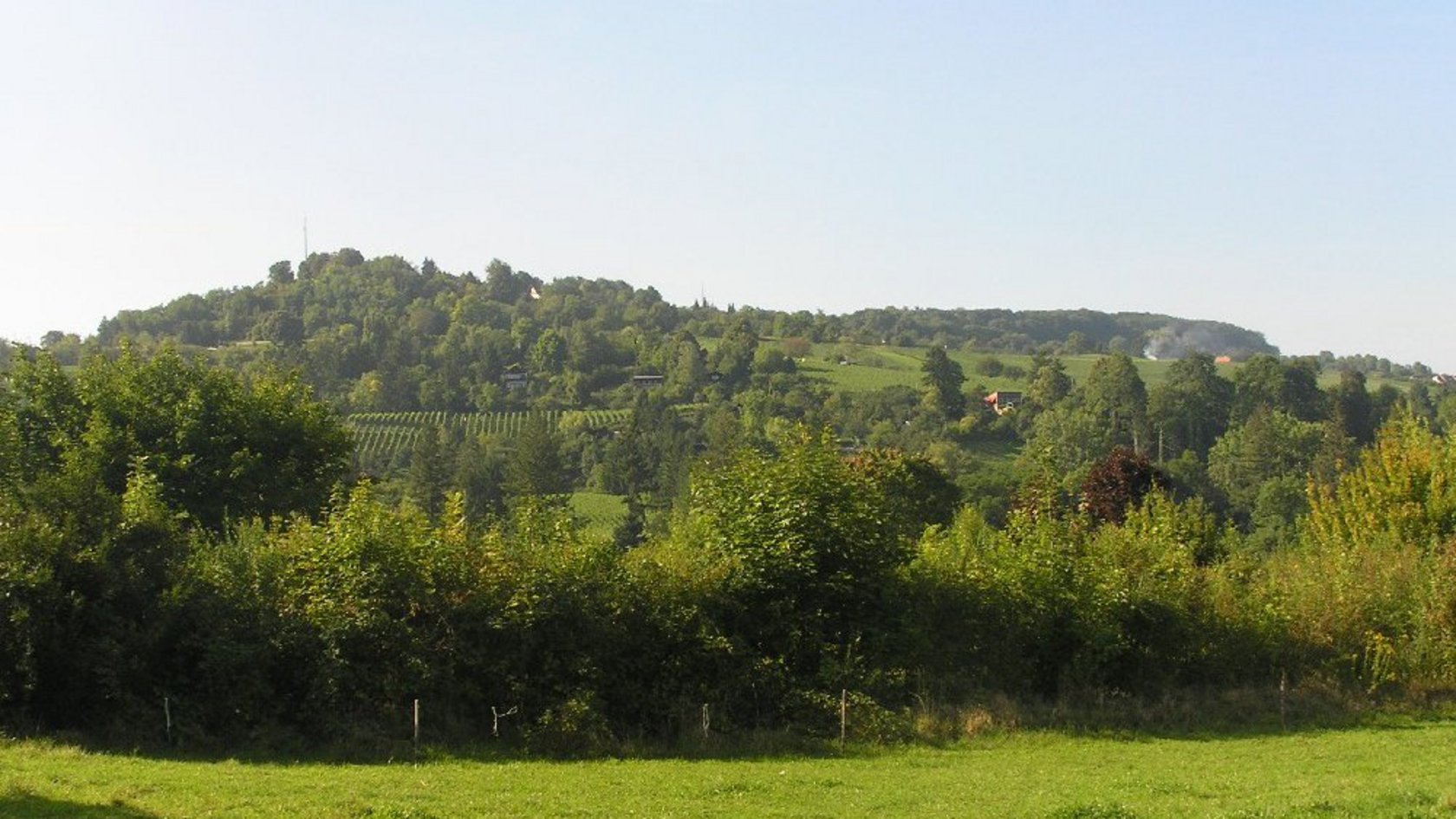 Tüllinger Berg Mattfeld